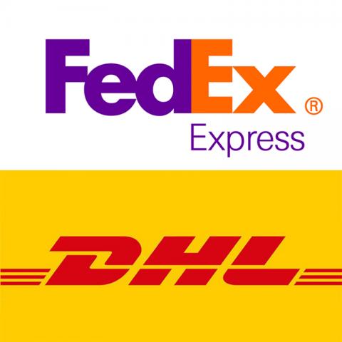 Express delivery Fedex or DHL